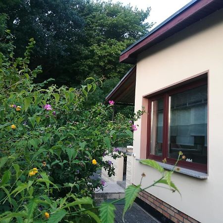 Ferienhaus Am Wald Loissin المظهر الخارجي الصورة