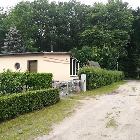 Ferienhaus Am Wald Loissin المظهر الخارجي الصورة
